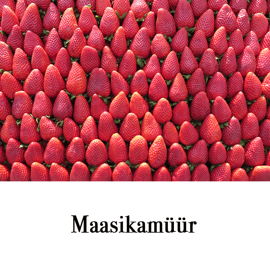 Suur õnnitluskaart " Maasikamüür" € 2.50