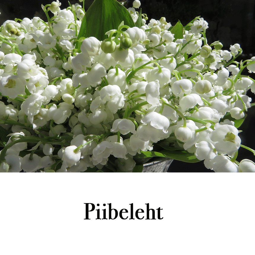 Suur õnnitluskaart "Piibeleht"