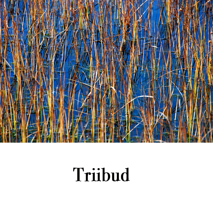 Suur õnnitluskaart "Triibud" € 2.50