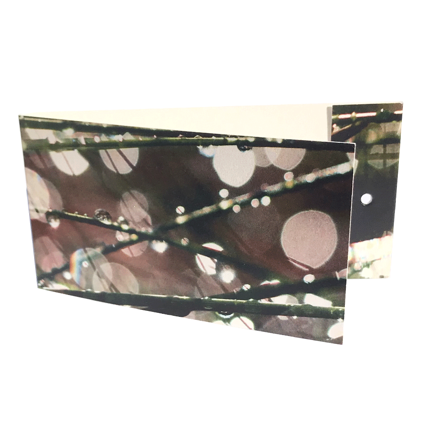 Väike kaart ehk lillekaart “Tilk” lillekimbule