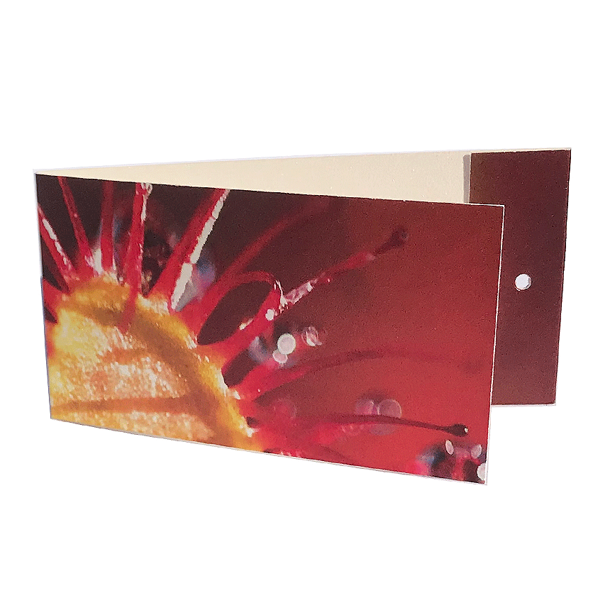 Väike kaart ehk lillekaart “Huulhein” lillekimbule