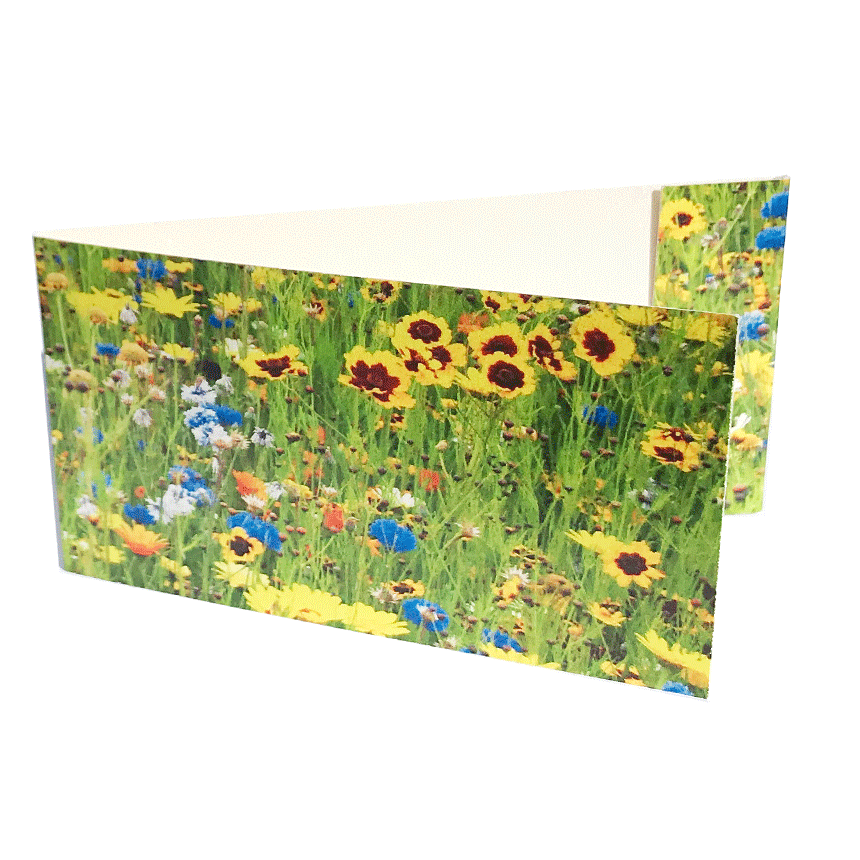 Väike kaart ehk lillekaart “Lilleaas” lillekimbule