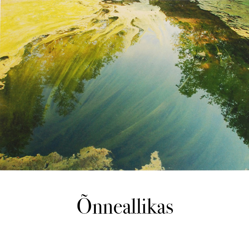 Suur õnnitluskaart "Õnneallikas" € 2.50