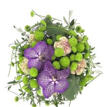 Lillekimp-Blue-Midori-pealtvaade Lillekimp Blue Midori pealtvaade