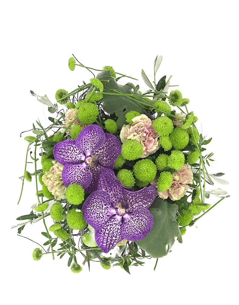 Lillekimp-Blue-Midori-pealtvaade Lillekimp Blue Midori pealtvaade