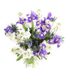 Lillekimp Lennart pealtvaade