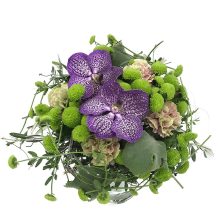 Lillekimp-Midori-Blue Lillekimp Midori Blue