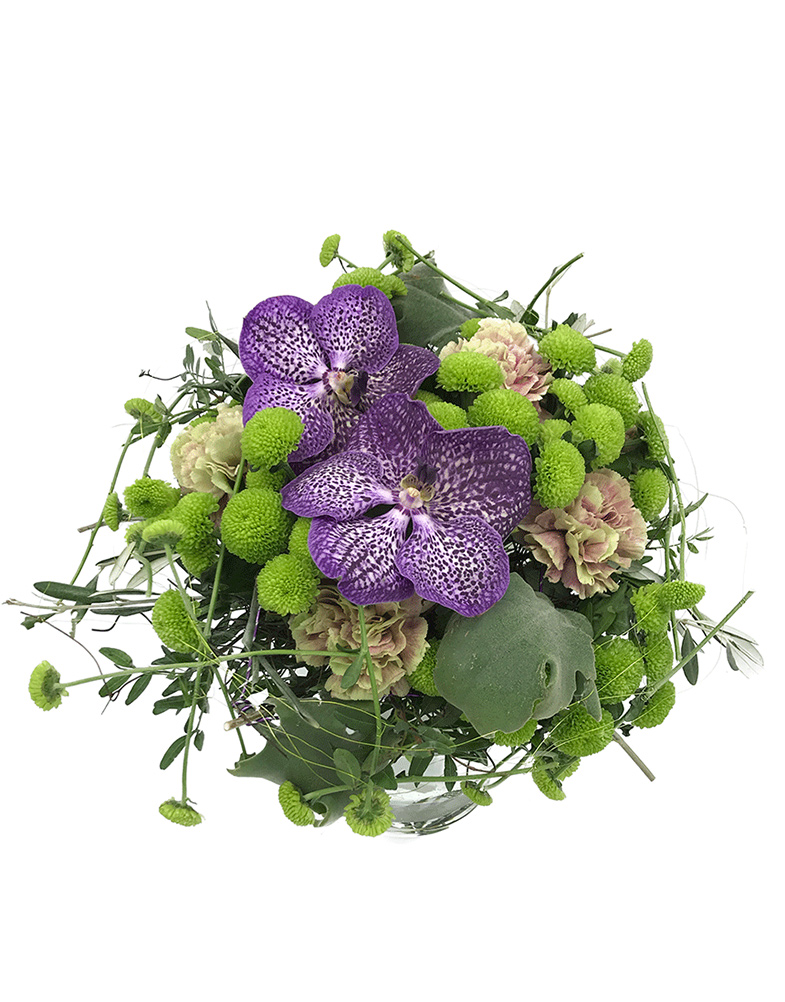 Lillekimp-Midori-Blue Lillekimp Midori Blue