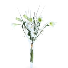 Lillekimp-Ooper Lillekimp Ooper