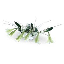 Lillekimp-Ooper--pealtvaade Lillekimp Ooper pealtvaade