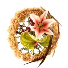 Lillekimp-karikas-pealtvaade Lillekimp karikas pealtvaade