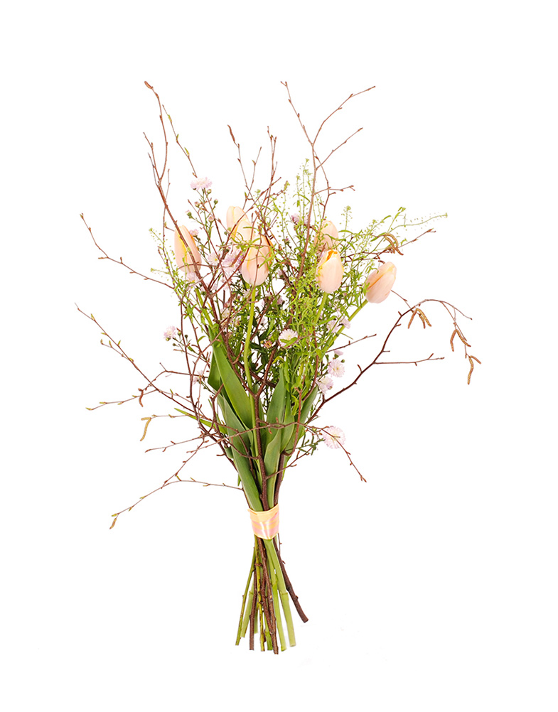 Prantsuse-tulbikimp2 Prantsuse-tulbikimp 2