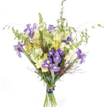 Lillekimp lõvilõugadest ja iiristest