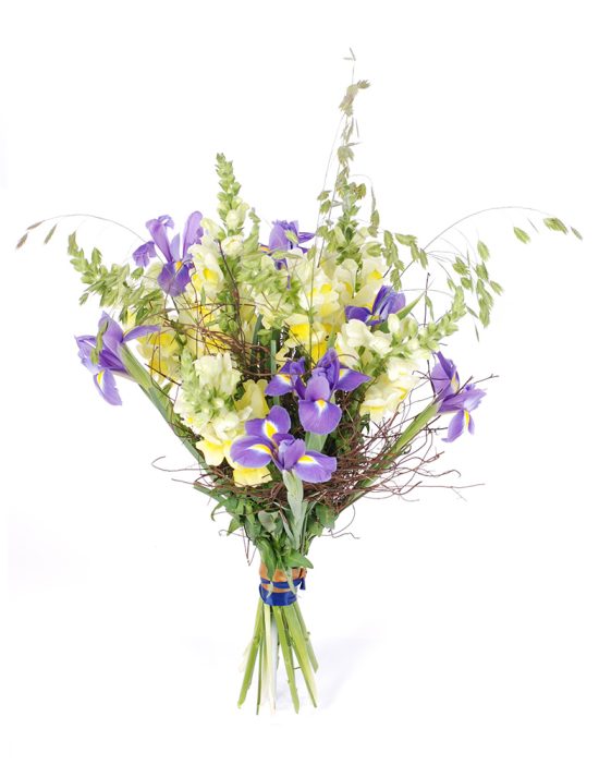 Lillekimp lõvilõugadest ja iiristest