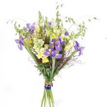 Lillekimp lõvilõugadest ja iiristest