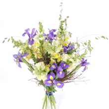 Lillekimp lõvilõugadest ja iiristest