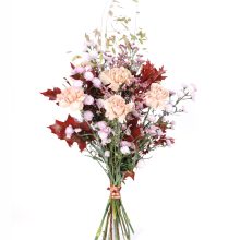 Nelkidest hooajaline lillekimp