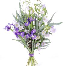 Lillekimp Siniallikad Lillekimp kellukatest ja iiristest