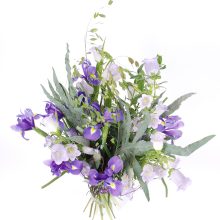 Lillekimp--Siiri-pealtvaade Lillekimp Siniallikad