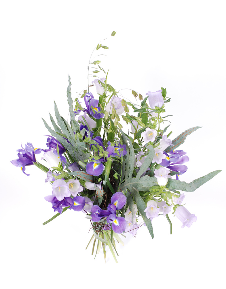 Lillekimp--Siiri-pealtvaade Lillekimp Siniallikad