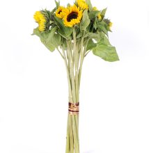 Päevalilled--eestvaade