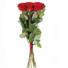 Red Naomi roosid